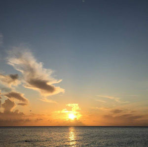 Meet your Posher, Claire